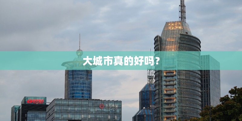 大城市真的好吗? 大城市真的好吗?