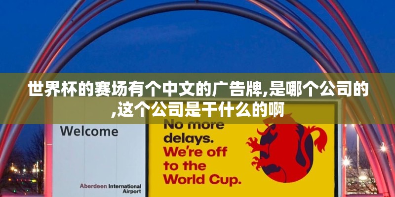 世界杯的赛场有个中文的广告牌,是哪个公司的,这个公司是干什么的啊