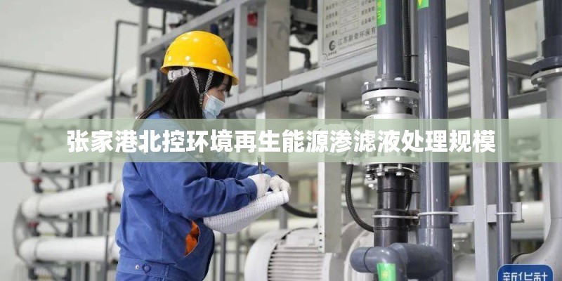 张家港北控环境再生能源渗滤液处理规模