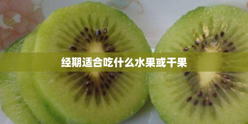 怎样训练比格幼犬 怎样训练比格幼犬
