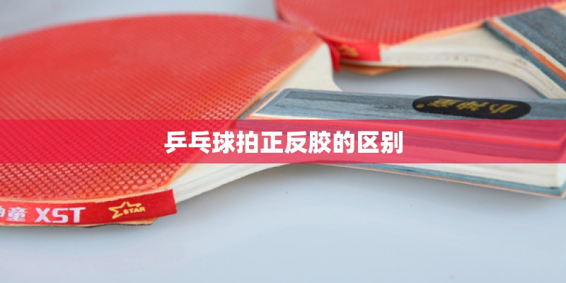 乒乓球拍正反胶的区别