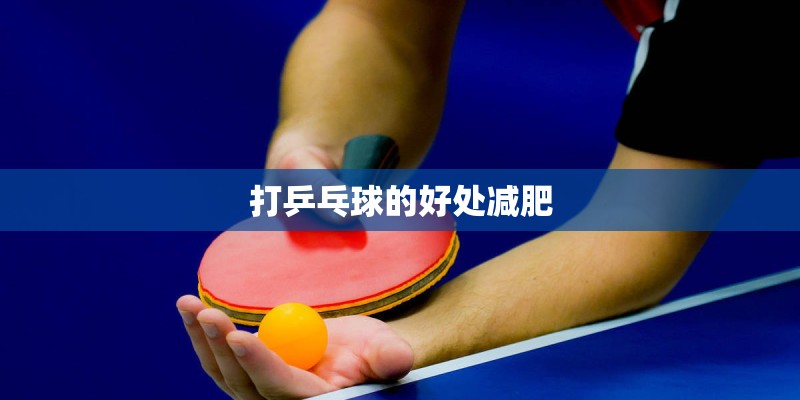 打乒乓球的好处减肥