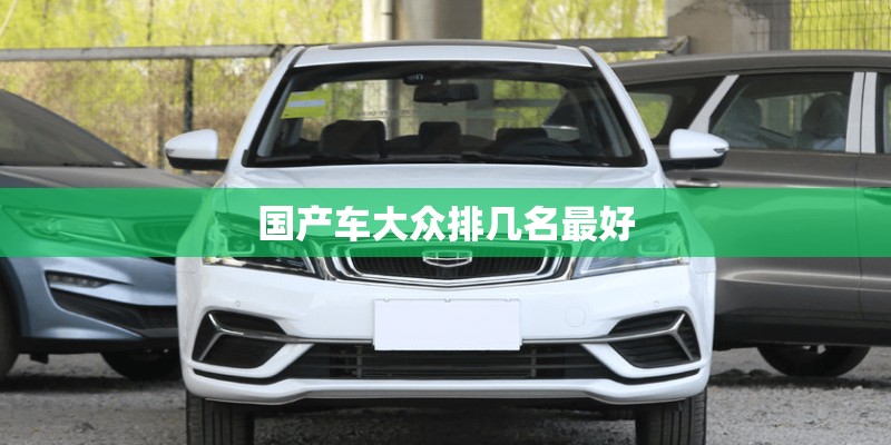 国产车大众排几名最好