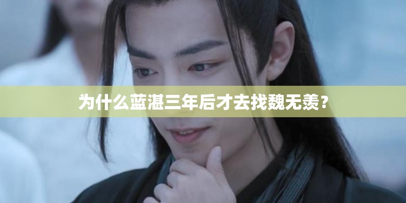 为什么蓝湛三年后才去找魏无羡？