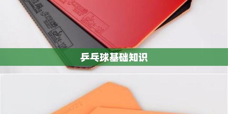 乒乓球基础知识