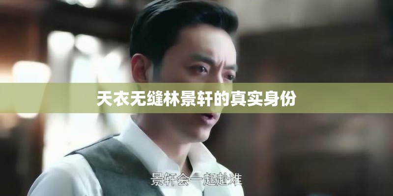 天衣无缝林景轩的真实身份