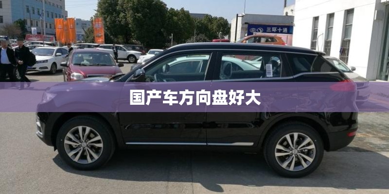 国产车方向盘好大