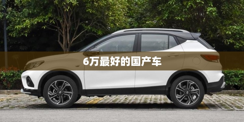 6万最好的国产车