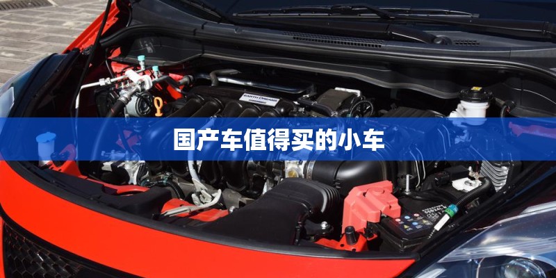 国产车值得买的小车