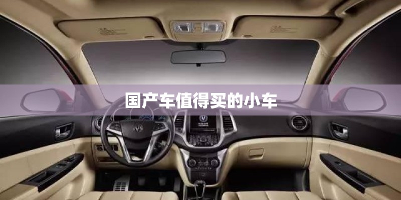 国产车值得买的小车