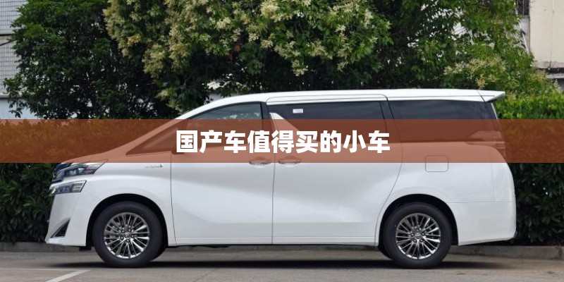 国产车值得买的小车