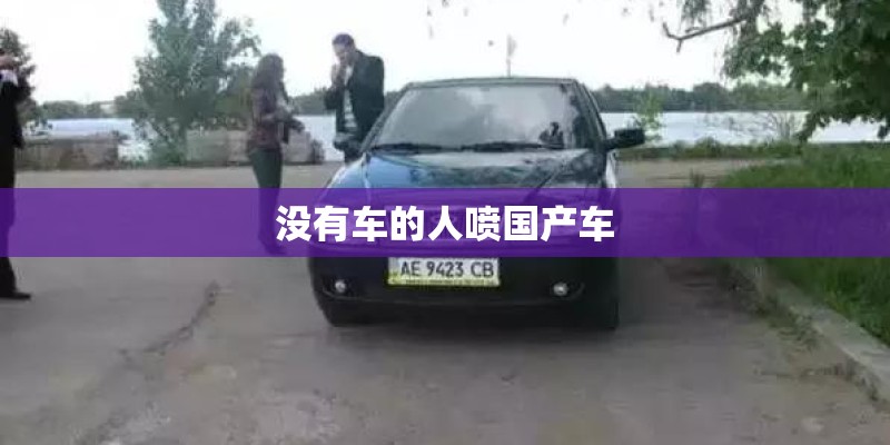 没有车的人喷国产车 没有车的人喷国产车