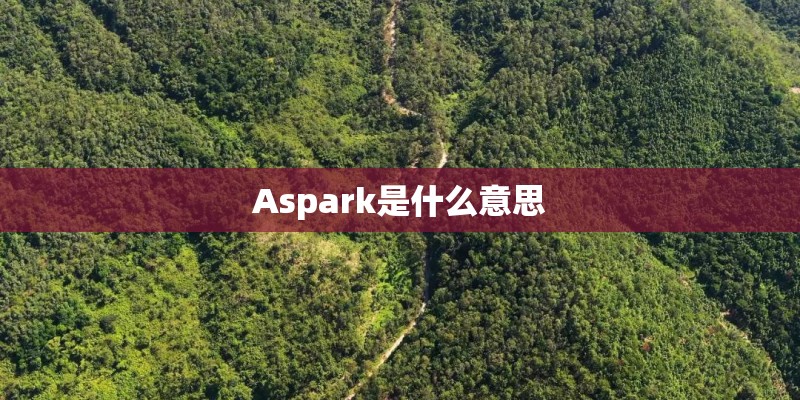 Aspark是什么意思 Aspark是什么意思