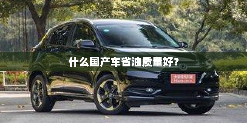 什么国产车省油质量好？