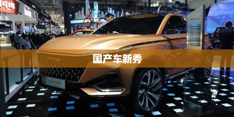 国产车新秀