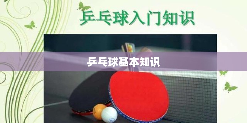 乒乓球基本知识 乒乓球基本知识