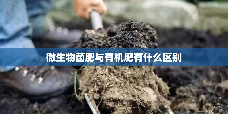 微生物菌肥与有机肥有什么区别 微生物菌肥与有机肥有什么区别