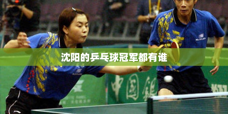 沈阳的乒乓球冠军都有谁 沈阳的乒乓球冠军都有谁