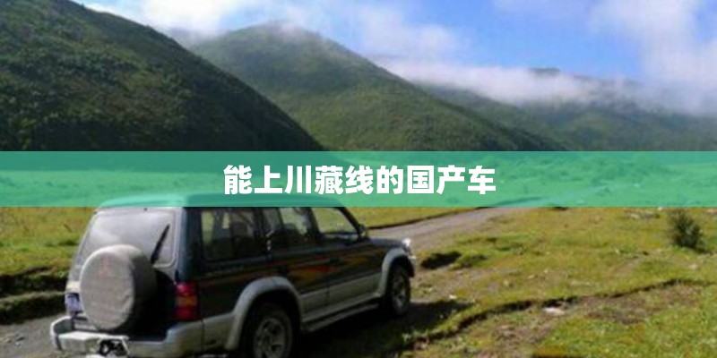 能上川藏线的国产车 能上川藏线的国产车
