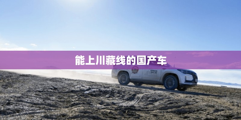 能上川藏线的国产车 能上川藏线的国产车