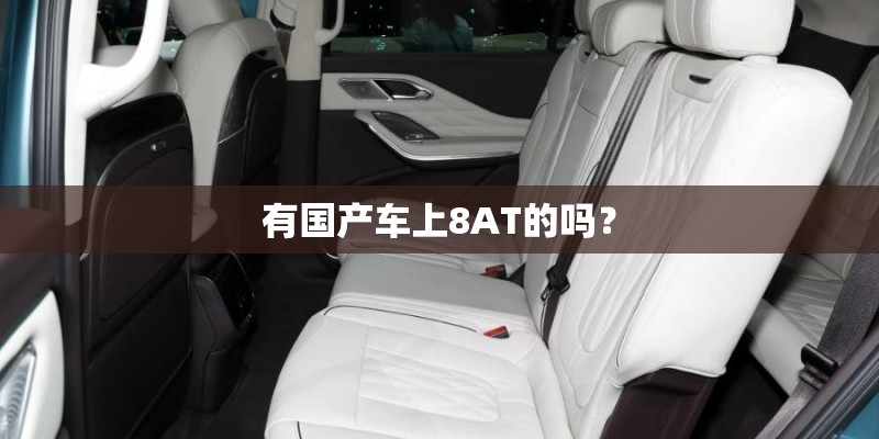 有国产车上8AT的吗? 有国产车上8AT的吗?