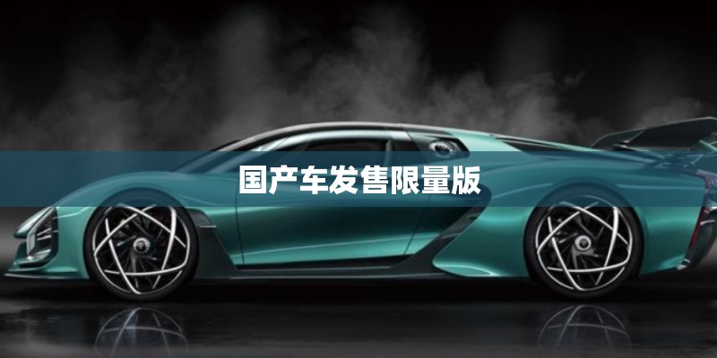 国产车发售限量版 国产车发售限量版