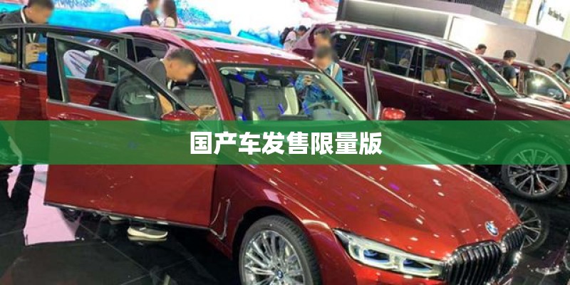 国产车发售限量版 国产车发售限量版