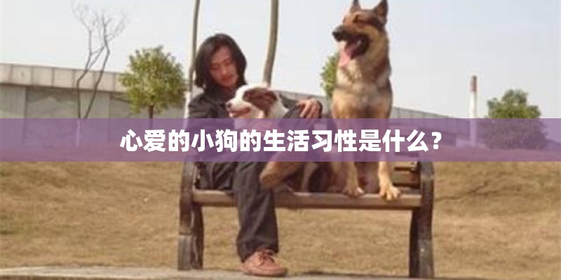 心爱的小狗的生活习性是什么? 心爱的小狗的生活习性是什么?