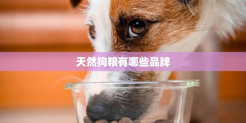 天然狗粮有哪些品牌 天然狗粮有哪些品牌