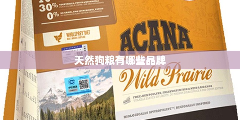 天然狗粮有哪些品牌 天然狗粮有哪些品牌