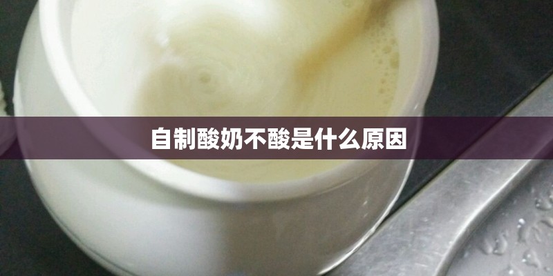 自制酸奶不酸是什么原因 自制酸奶不酸是什么原因