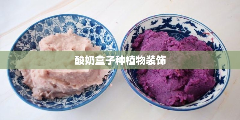 酸奶盒子种植物装饰