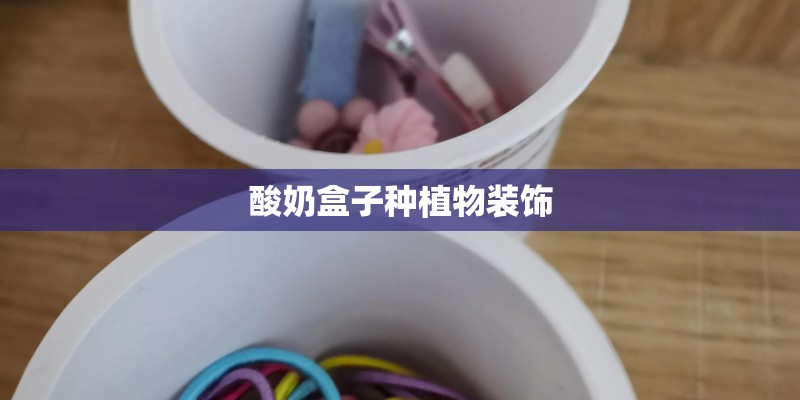 酸奶盒子种植物装饰