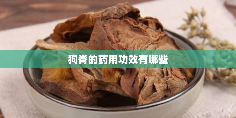 狗脊的药用功效有哪些 狗脊的药用功效有哪些