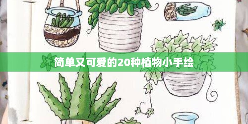 简单又可爱的20种植物小手绘