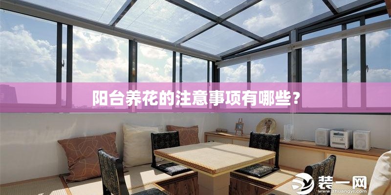 阳台养花的注意事项有哪些？