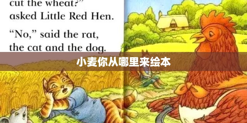 小麦你从哪里来绘本