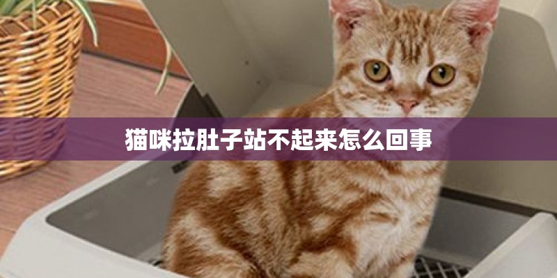 猫咪拉肚子站不起来怎么回事
