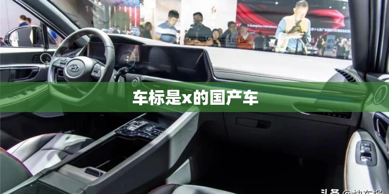 车标是x的国产车