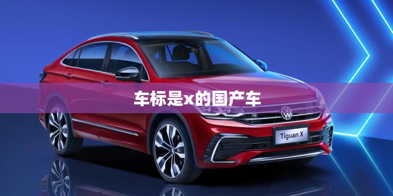 车标是x的国产车