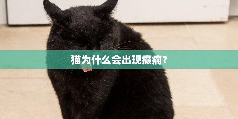猫为什么会出现癫痫？