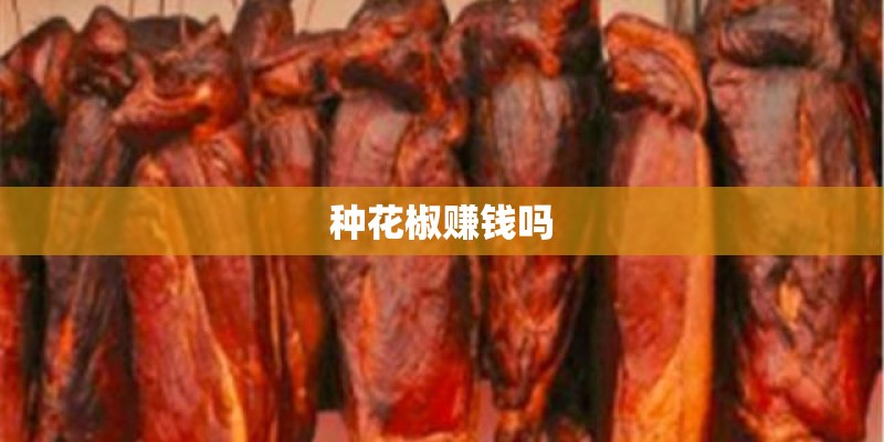 种花椒赚钱吗