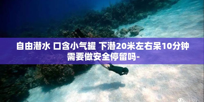 自由潜水 口含小气罐 下潜20米左右呆10分钟 需要做安全停留吗-
