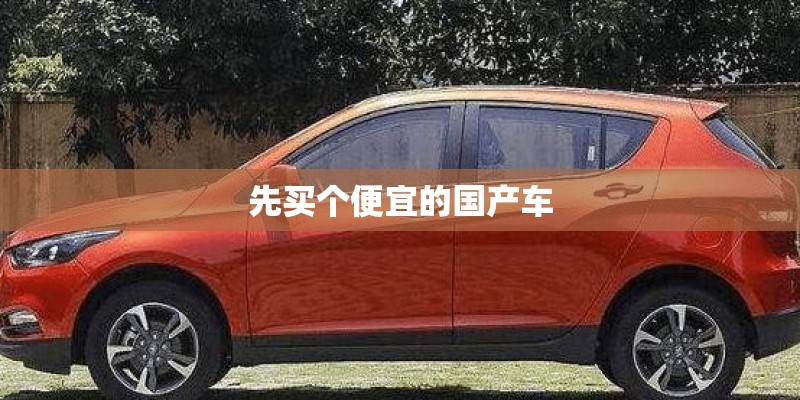 先买个便宜的国产车