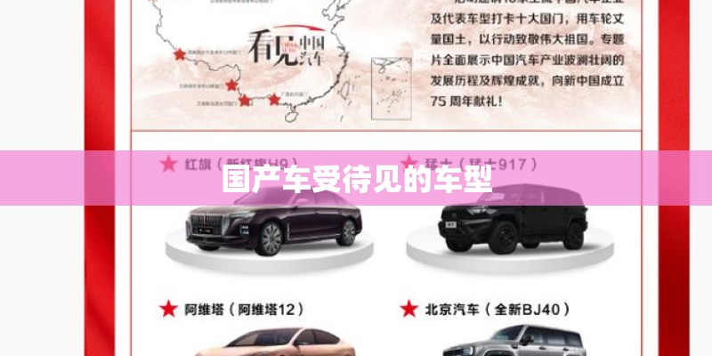 国产车受待见的车型