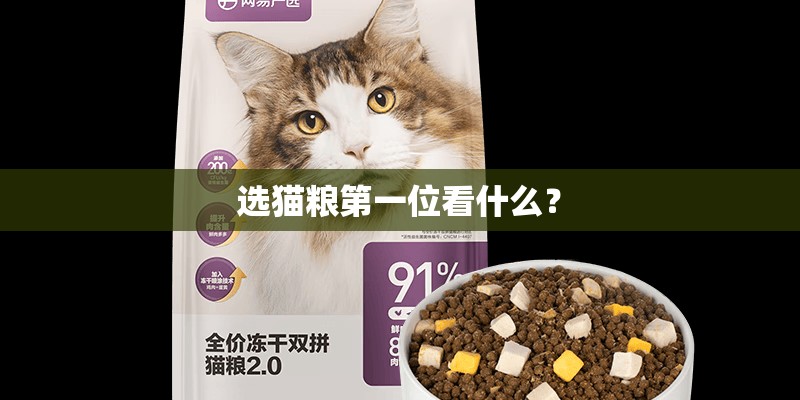 选猫粮第一位看什么？