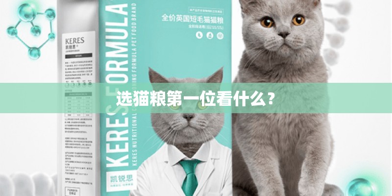 选猫粮第一位看什么？