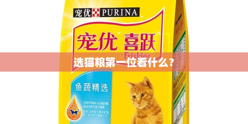 选猫粮第一位看什么？