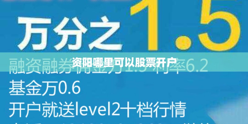 资阳哪里可以股票开户 资阳哪里可以股票开户