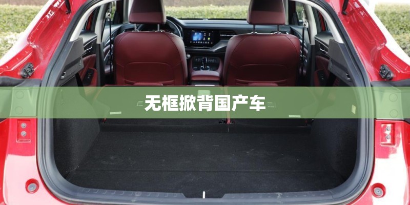 无框掀背国产车 无框掀背国产车